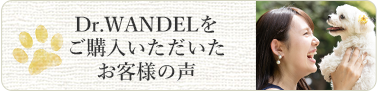 Dr.WANDELをご購入いただいたお客様の声