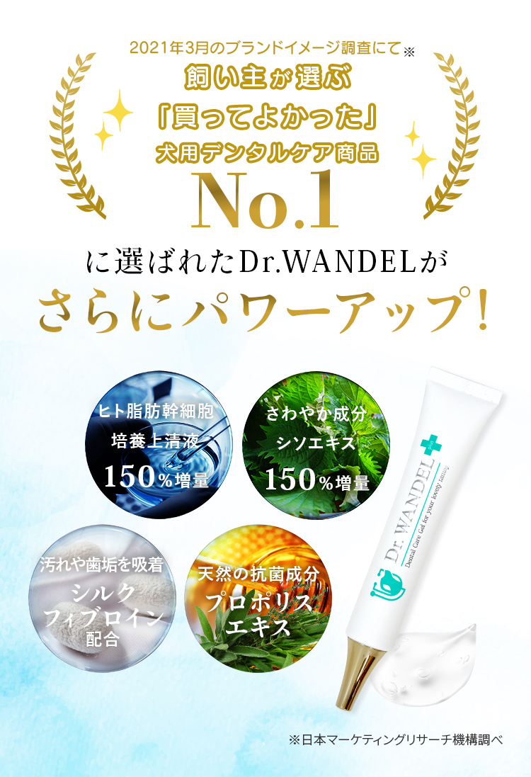 ドクターワンデルプラス ジェルのみ3本 Dr.WANDEL Dr.WANDEL ドクターワンデルプラス ジェルのみ3本 Dr.WANDEL Dr.WANDEL
