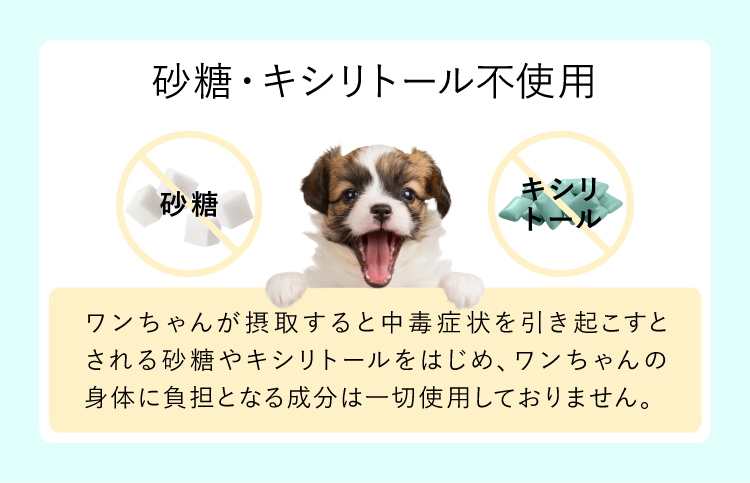 ドクターワンデル 新品 未開封 ♢当日発送♢ドクターワンデル プラス2