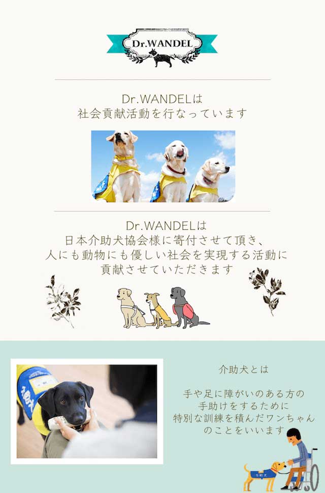 Dr.WANDEL ドクターワンデルプロ 3本セット Dr.WANDEL